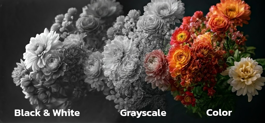 บริการ สแกนเอกสาร